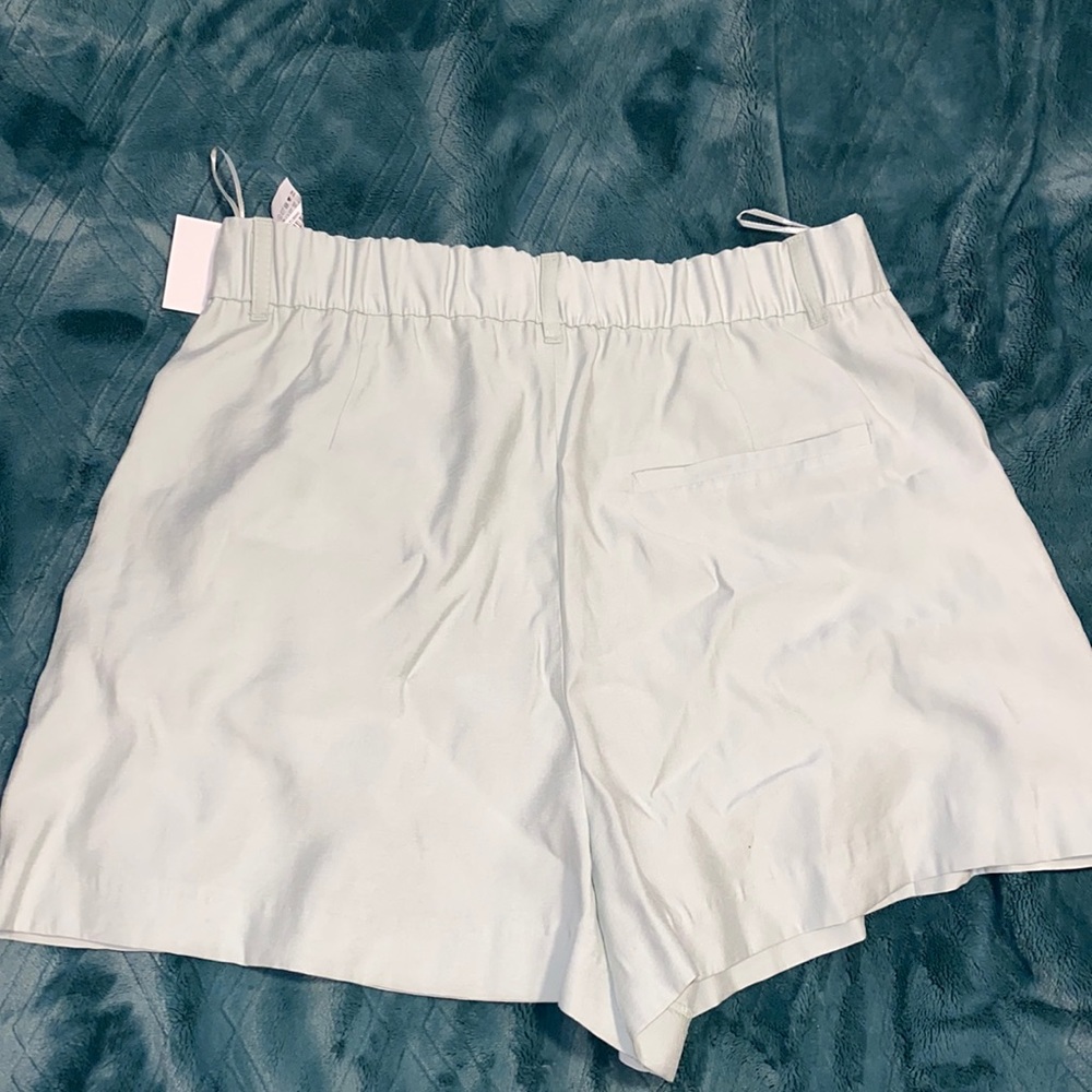 Zara High Waisted Shorts
